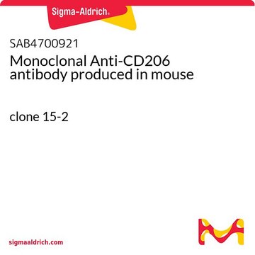 Monoclonal Anti-CD206 antibody produced in mouse clone 15-2