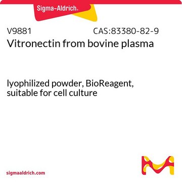 Vitronectin from bovine plasma lyophilized powder, BioReagent, suitable for cell culture