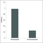Anti-phospho-SLP-76 (pTyr128) antibody produced in rabbit affinity isolated antibody