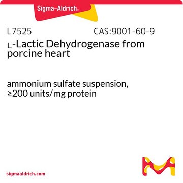 L-Lactic Dehydrogenase from porcine heart ammonium sulfate suspension, &#8805;200&#160;units/mg protein