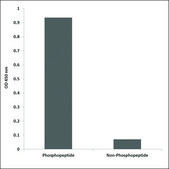 Anti-phospho-Mnk1 (pThr385) antibody produced in rabbit affinity isolated antibody