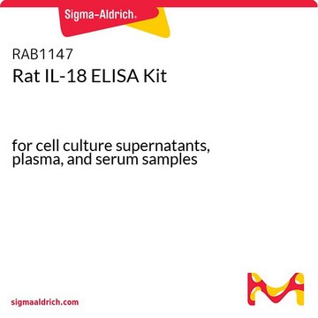 Rat IL-18 ELISA Kit for cell culture supernatants, plasma, and serum samples