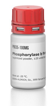 Phosphorylase b from rabbit muscle lyophilized powder, &#8805;20&#160;units/mg protein, 2&#215; crystallization