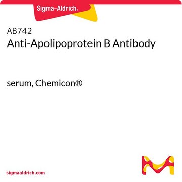 Anti-Apolipoprotein B Antibody serum, Chemicon&#174;