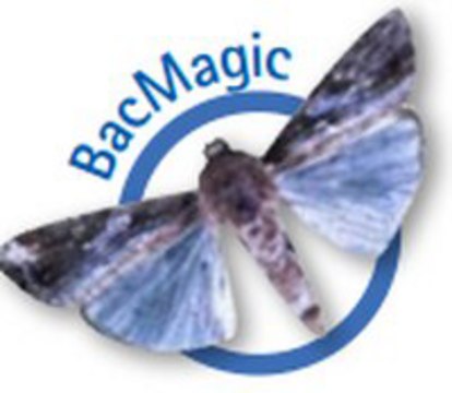 BacMagic-3 DNA Kit - Novagen