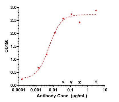 Anti-IL-12b Reference Antibody