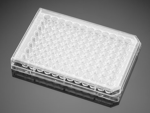 Corning&#174; BioCoat&#8482; Collagen I 48 Well Clear Flat Bottom TC-Treated Multiwell Plate with Lid well size 48&#160;wells, flat bottom clear wells, lid