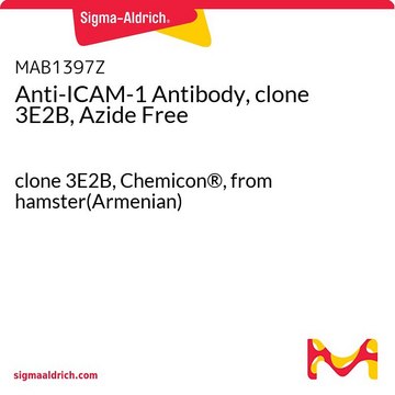 Anti-ICAM-1 Antibody, clone 3E2B, Azide Free clone 3E2B, Chemicon&#174;, from hamster(Armenian)