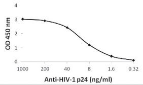 Monoclonal Anti-HIV-1 p24 [8G9] antibody produced in mouse purified antibody (Protein A)