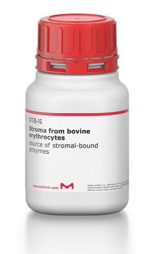 Stroma from bovine erythrocytes source of stromal-bound enzymes