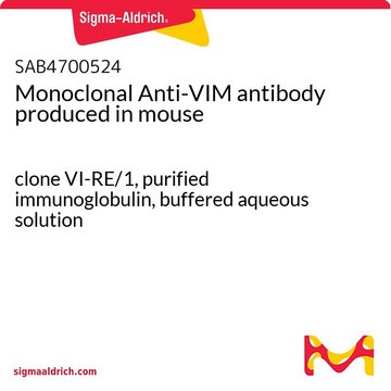 Monoclonal Anti-VIM antibody produced in mouse clone VI-RE/1, purified immunoglobulin, buffered aqueous solution