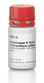 Proteinase&#160;K from Tritirachium album lyophilized powder, &#8805;30&#160;units/mg protein