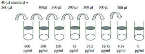 Mouse SDF-1 &#945; / CXCL12 &#945; ELISA Kit for serum, plasma and cell culture supernatant