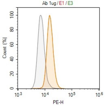 Anti-KLRG1 Antibody, clone 1H10 ZooMAb&#174; Rabbit Monoclonal recombinant, expressed in HEK 293 cells