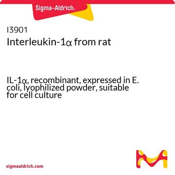 Interleukin-1&#945; from rat IL-1&#945;, recombinant, expressed in E. coli, lyophilized powder, suitable for cell culture