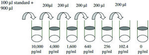 Human bFGF ELISA Kit for cell and tissue lysates