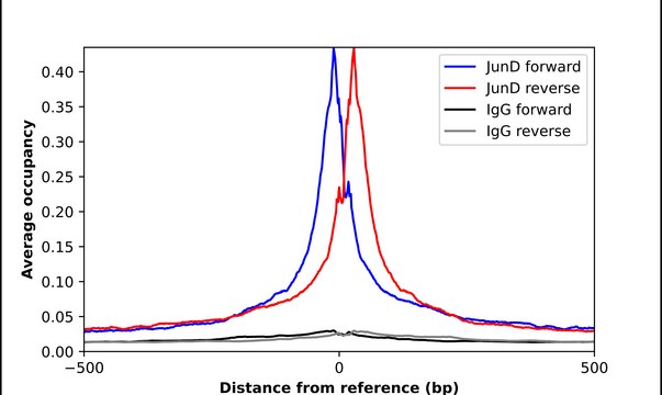 Anti-JUND antibody produced in rabbit Prestige Antibodies&#174; Powered by Atlas Antibodies, affinity isolated antibody, buffered aqueous glycerol solution