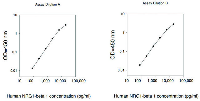 Human NRG1-&#946; 1 ELISA Kit for serum, plasma, cell culture supernatant and urine