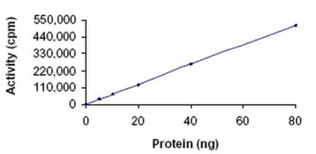 AMPK (&#945;2/&#946;1/&#947;1), His&#8226;Tag&#174;, Human, Recombinant,S. frugiperda