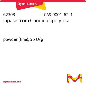 Lipase from Candida lipolytica powder (fine), &#8805;5&#160;U/g