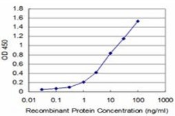 ANTI-EGR1 antibody produced in mouse clone 4G7, purified immunoglobulin, buffered aqueous solution