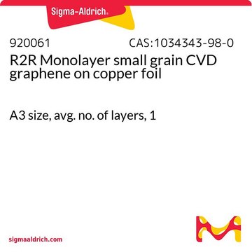 R2R Monolayer small grain CVD graphene on copper foil A3 size, avg. no. of layers, 1