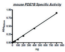 PDE7B active mouse recombinant, expressed in baculovirus infected Sf9 cells, &#8805;65% (SDS-PAGE)