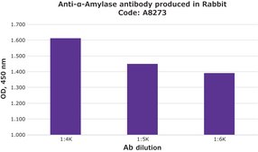Anti-&#945;-Amylase antibody produced in rabbit fractionated antiserum, lyophilized powder