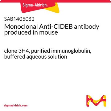Monoclonal Anti-CIDEB antibody produced in mouse clone 3H4, purified immunoglobulin, buffered aqueous solution
