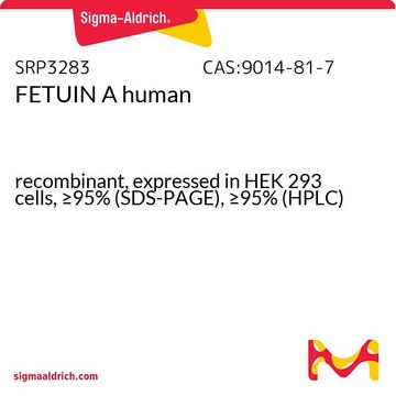 FETUIN A human recombinant, expressed in HEK 293 cells, &#8805;95% (SDS-PAGE), &#8805;95% (HPLC)