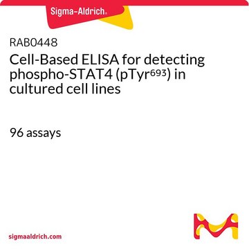 Cell-Based ELISA for detecting phospho-STAT4 (pTyr693) in cultured cell lines 96&#160;assays