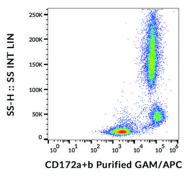 Monoclonal Anti-CD172a/b antibody produced in mouse clone SE5A5