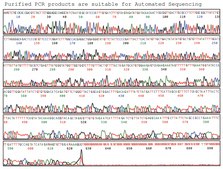 GenElute&#8482; PCR Clean-Up Kit sufficient for 70&#160;purifications