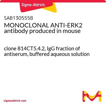 MONOCLONAL ANTI-ERK2 antibody produced in mouse clone 814CT5.4.2, IgG fraction of antiserum, buffered aqueous solution