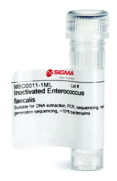 Inactivated Enterococcus faecalis Suitable for DNA extraction, PCR, sequencing, next generation sequencing, &gt;10^8 bacteria/ml