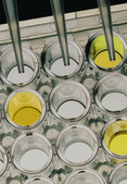 TRANSIA&#174; PLATE Salmonella Gold 10X BioControl, ELISA test for detection of Salmonella in food and environmental samples