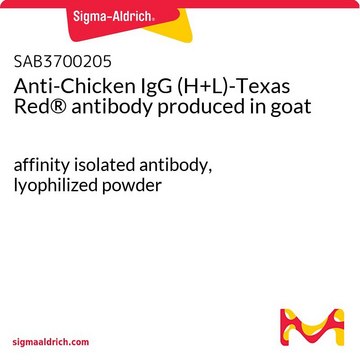 Anti-Chicken IgG (H+L)-Texas Red&#174; antibody produced in goat affinity isolated antibody, lyophilized powder