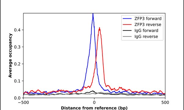 Anti-ZFP3 antibody produced in rabbit Prestige Antibodies&#174; Powered by Atlas Antibodies, affinity isolated antibody