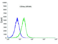 Anti-CD16A antibody, Rabbit monoclonal recombinant, expressed in proprietary host, clone SP189, affinity isolated antibody