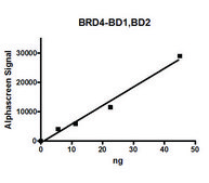 BRD4, BD1, BD2 (49-460) His tag human recombinant, expressed in E. coli, &#8805;75% (SDS-PAGE)