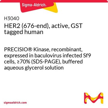 HER2 (676-end), active, GST tagged human PRECISIO&#174; Kinase, recombinant, expressed in baculovirus infected Sf9 cells, &#8805;70% (SDS-PAGE), buffered aqueous glycerol solution