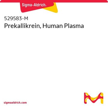 Prekallikrein, Human Plasma