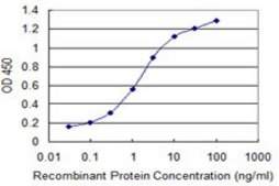 Monoclonal Anti-STAB1 antibody produced in mouse clone 4G9, purified immunoglobulin, buffered aqueous solution