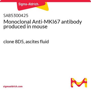 Monoclonal Anti-MKI67 antibody produced in mouse clone 8D5, ascites fluid