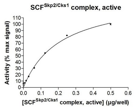 SCF-Skp2 Protein Complex, Active, 10 &#181;g Active complex of five (5) full length, recombinant human enzymes: Skp1, Skp2, Cul1, Rbx1 &amp; Cks1. For use in Enzyme Assays. Functions as an E3 ligase in ubiquitination assays.