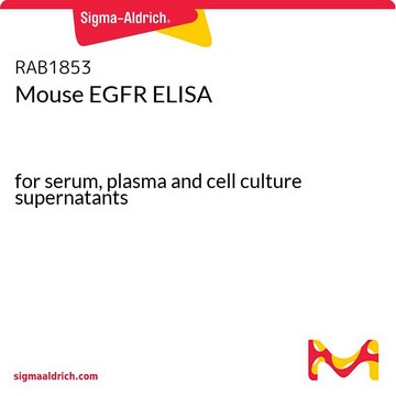 Mouse EGFR ELISA for serum, plasma and cell culture supernatants