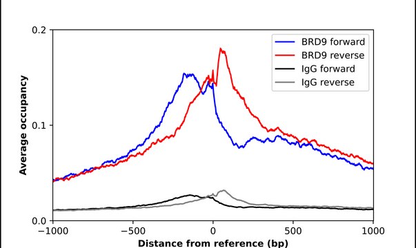 Anti-BRD9 antibody produced in rabbit Prestige Antibodies&#174; Powered by Atlas Antibodies, affinity isolated antibody