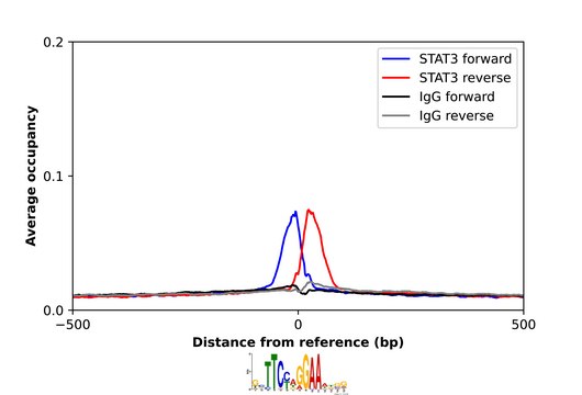 Anti-STAT3 antibody produced in rabbit Prestige Antibodies&#174; Powered by Atlas Antibodies, affinity isolated antibody, buffered aqueous glycerol solution