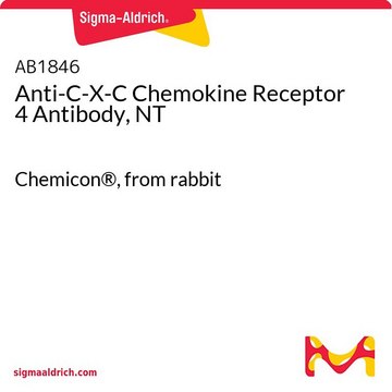 Anti-C-X-C Chemokine Receptor 4 Antibody, NT Chemicon&#174;, from rabbit