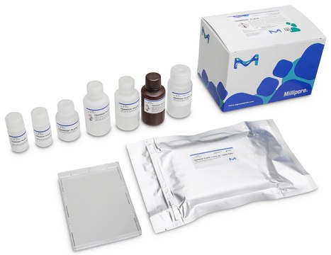 TRANSIA&#174; PLATE Listeria spp. BioControl, ELISA test for detection of Listeria in food and environmental samples